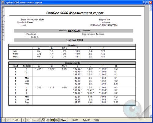 capsee-report